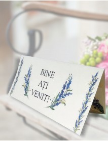 Plic de bani nuntă cod ”mida 2041”