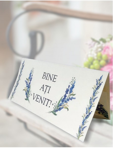 Plic de bani nuntă cod ”mida 2041”